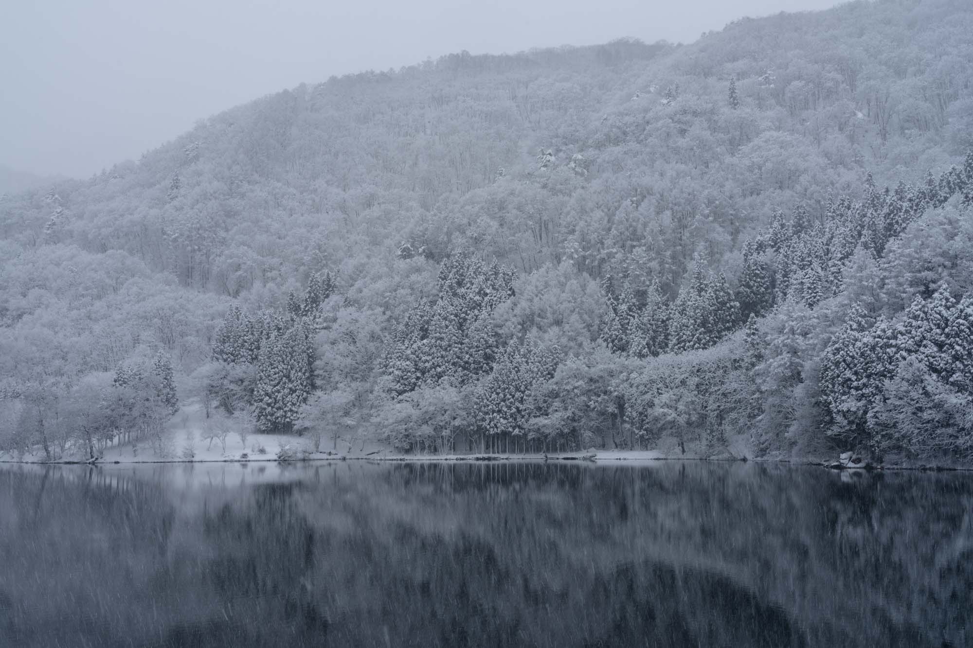美しい樹氷と中綱湖