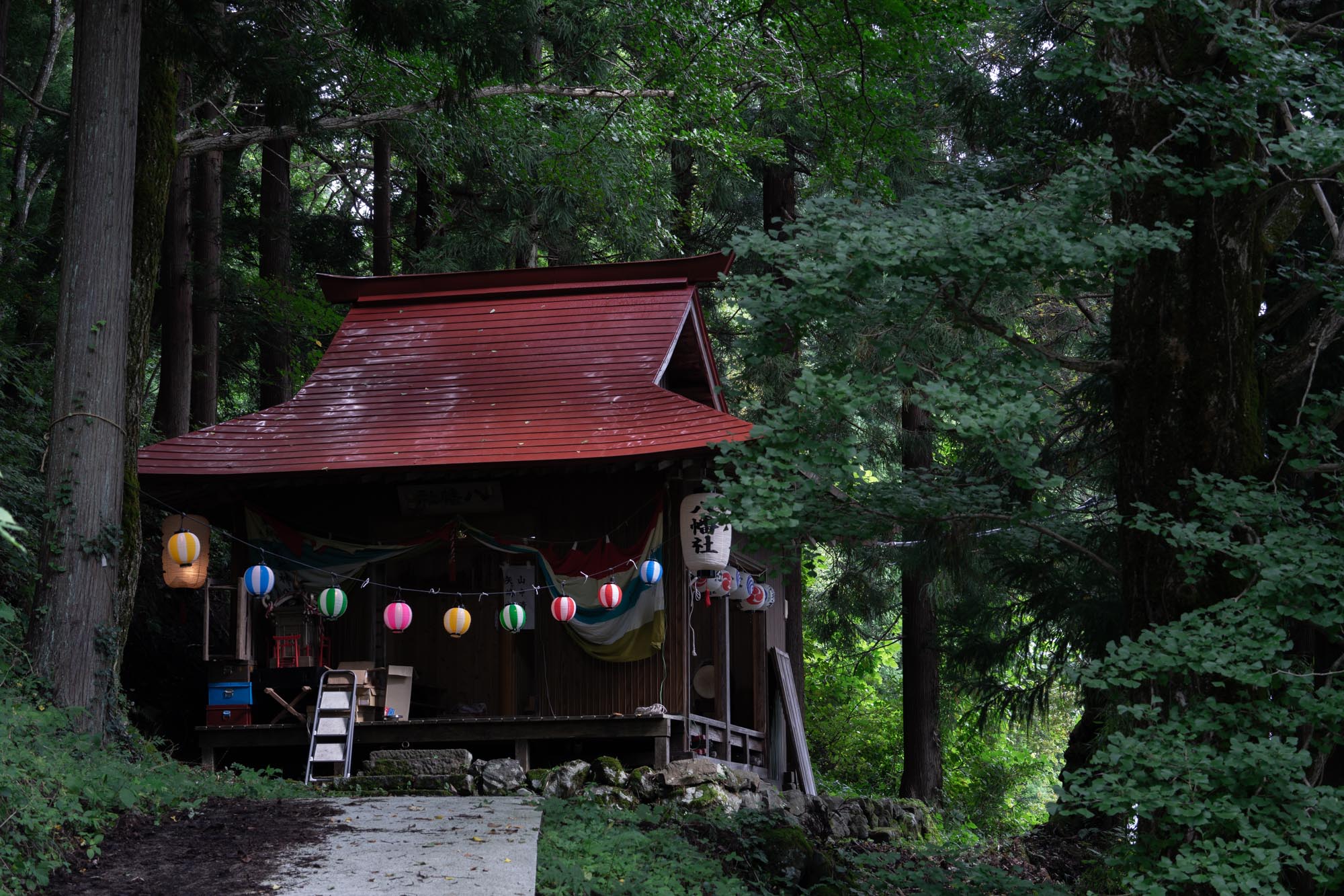 森の中にひっそりと佇む八幡社