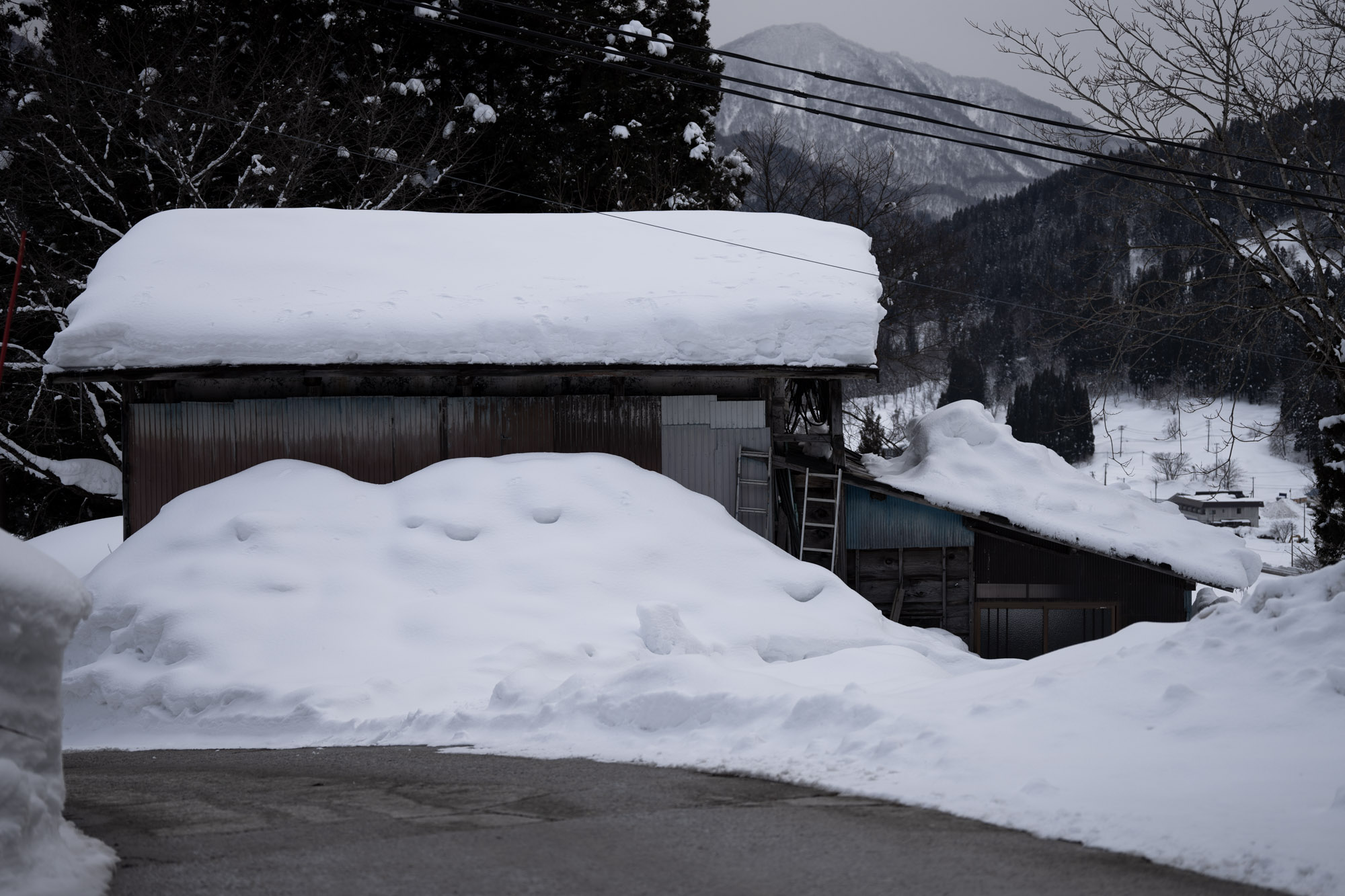 2月2日。今年の雪のピークは2月終わり頃。屋根の上に2m以上積もりました。